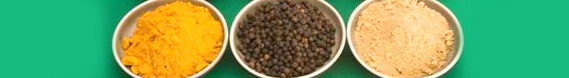 Tajagro Dhania Powder