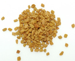 Tajagro Fenugreek Seeds