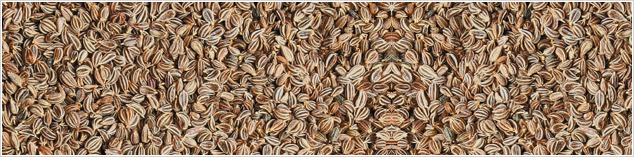 ajwain seed