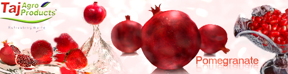 pomegranate-agro
