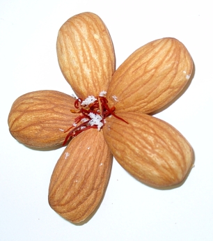 Badam (Almond)