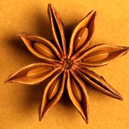 Star-anise-logo