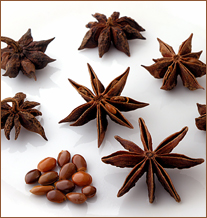 Star-anise-spices