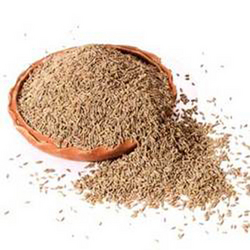 Cuminseeds in india