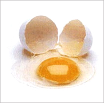 Egg Albume Powder