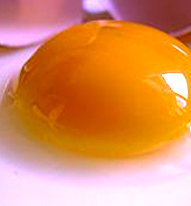 Yolk Egg side banner