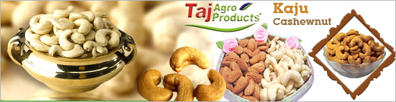 Cashewnut banner