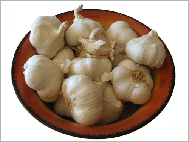 garlic-spices
