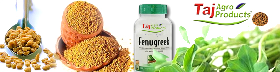 Fenugreek-seeds-for-taj-agro
