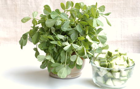 Green Methi Leaves