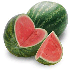 watermelonfortaj