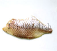 Perch- Fillet fish 