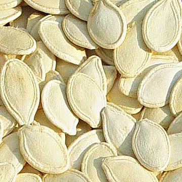 seeds in india