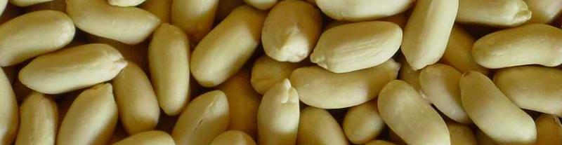 blanchedpeanutkernels