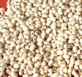white peas seeds 