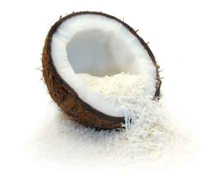 coconut4.jpg