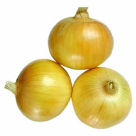 Onion for yellow