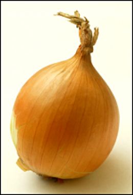 Yellow Onion