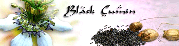 Black-cumin-seed-banner