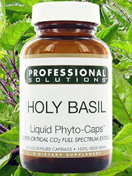 Holy Basil