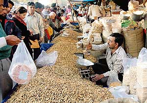 ground nut markets