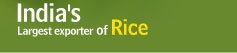 Rice logo