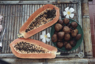 papaya seeds 