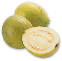 Guava Fruit