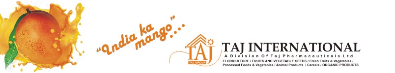 Mango & Taj logo