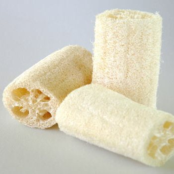 Bath Luffa