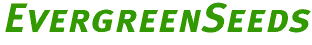 evergreen seeds logo