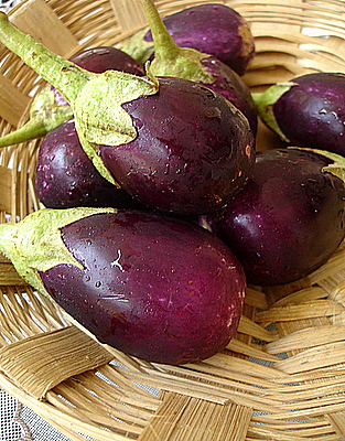 purple brinjal