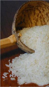 rice exporters india
