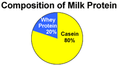 milk protein